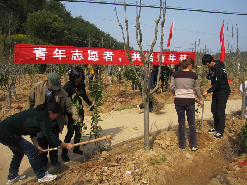 07開展員工義務(wù)植樹.JPG